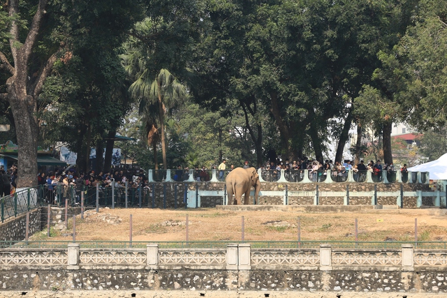 Chỉ được nghỉ 1 ng&agrave;y Tết dương, người d&acirc;n H&agrave; Nội lựa chọn nơi n&agrave;y l&agrave; điểm đến l&yacute; tưởng cho cả gia đ&igrave;nh- Ảnh 8.