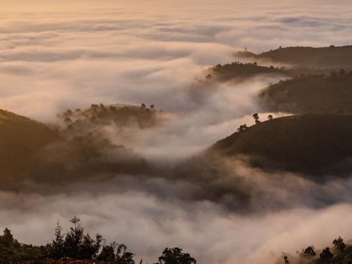 Đèo mây Lộc Thành có gì khiến du khách mê mẩn?- Ảnh 3.