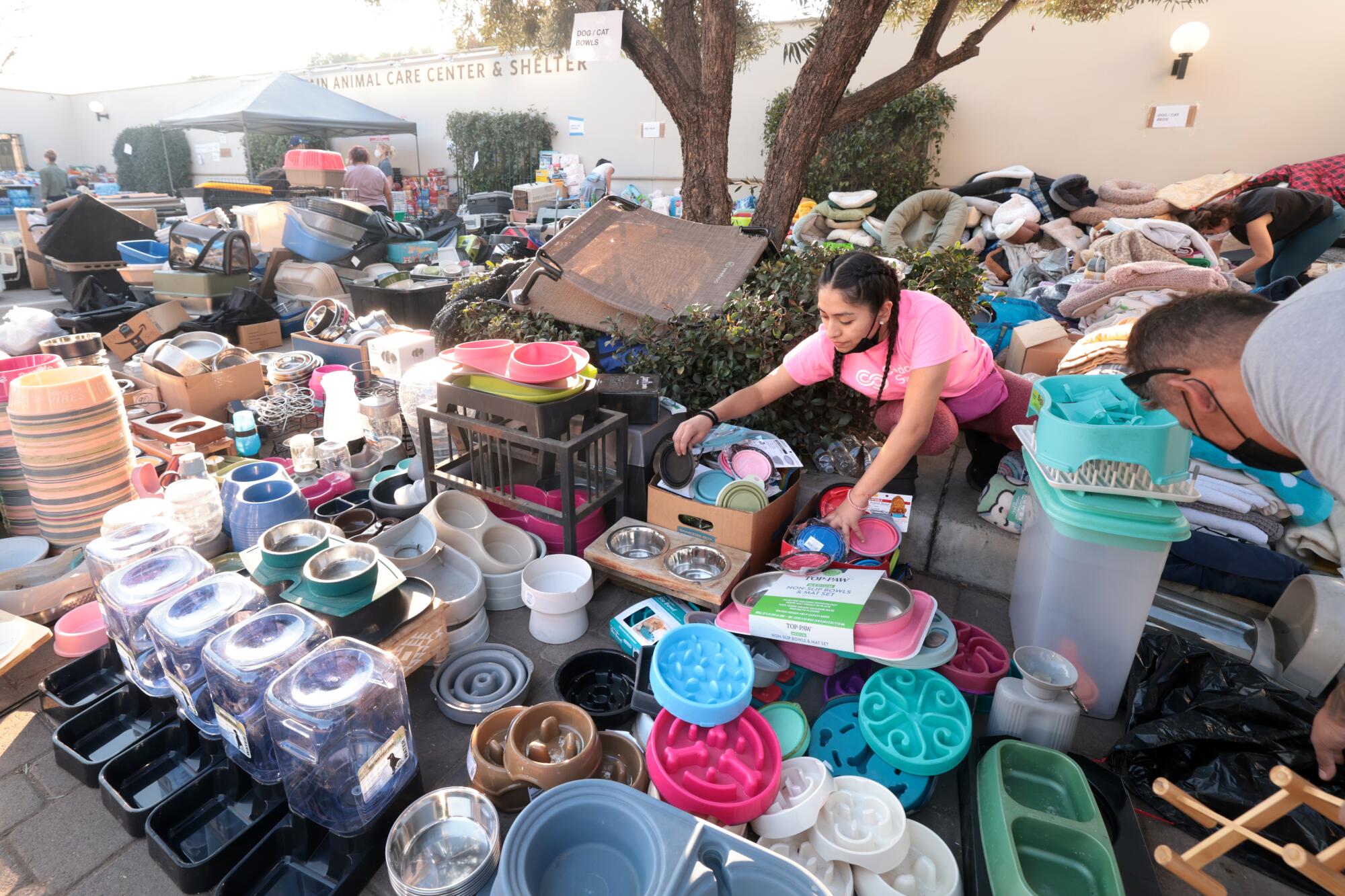 Volunteers sort donated goods at the Pasadena Humane Society. 