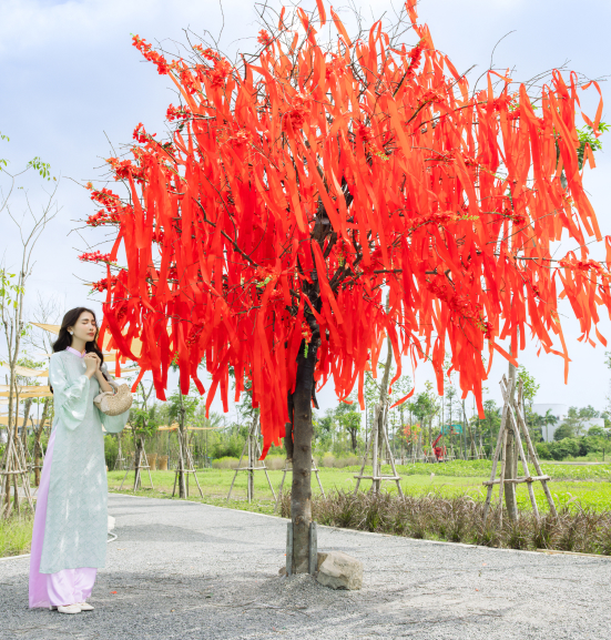 Tết này! Lên chuyến tàu về với thiên nhiên tại đường xuân giữa cánh đồng hoa- Ảnh 12.