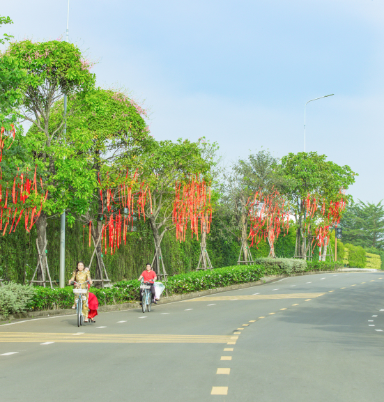 Tết này! Lên chuyến tàu về với thiên nhiên tại đường xuân giữa cánh đồng hoa- Ảnh 8.