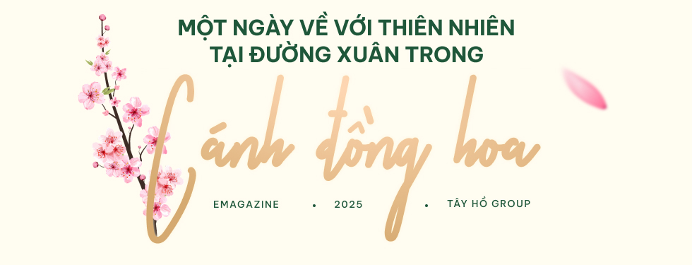 Tết này! Lên chuyến tàu về với thiên nhiên tại đường xuân giữa cánh đồng hoa- Ảnh 3.