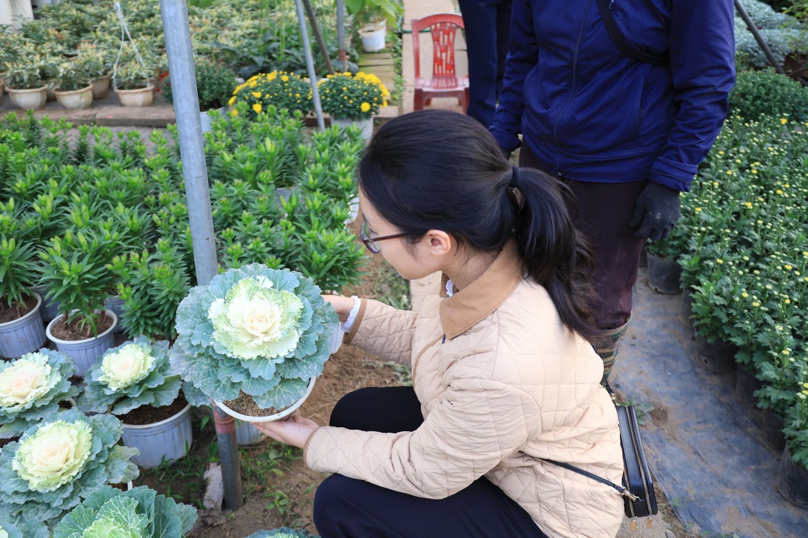 Độc lạ loại hoa vừa cắm chơi vừa có thể ăn- Ảnh 4.