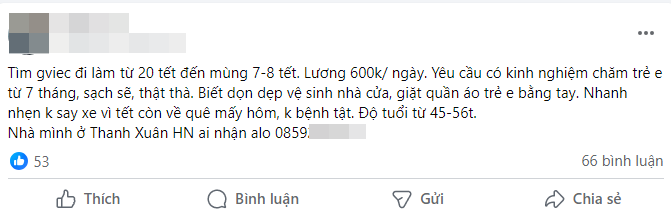 Giúp việc về quê full Tết, hội mẹ bỉm nháo nhào tìm người thay thế, chi gần 10 triệu mà vẫn chưa đâu vào đâu- Ảnh 7.