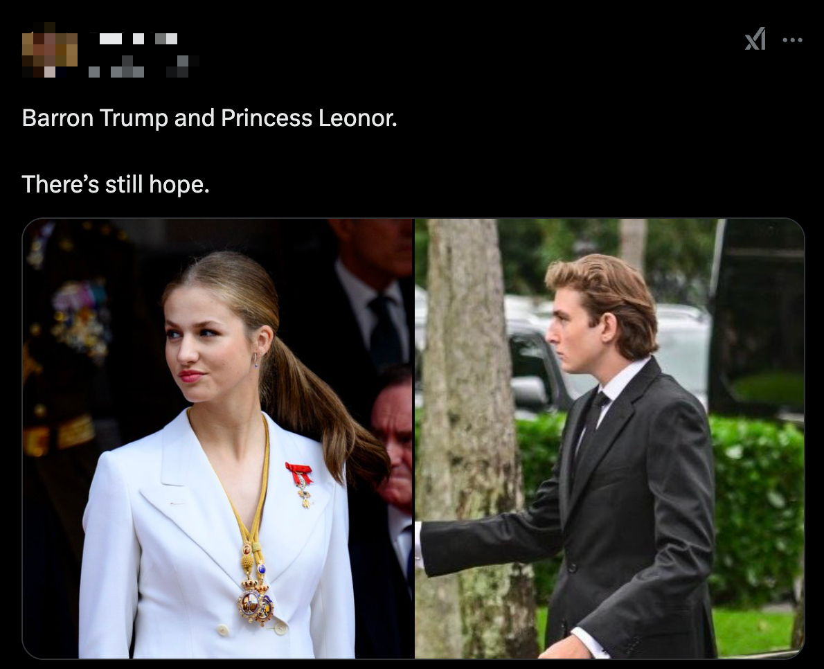 Chân dung cô công chúa được netizen quốc tế nhiệt tình "đẩy thuyền" với Barron Trump- Ảnh 2.