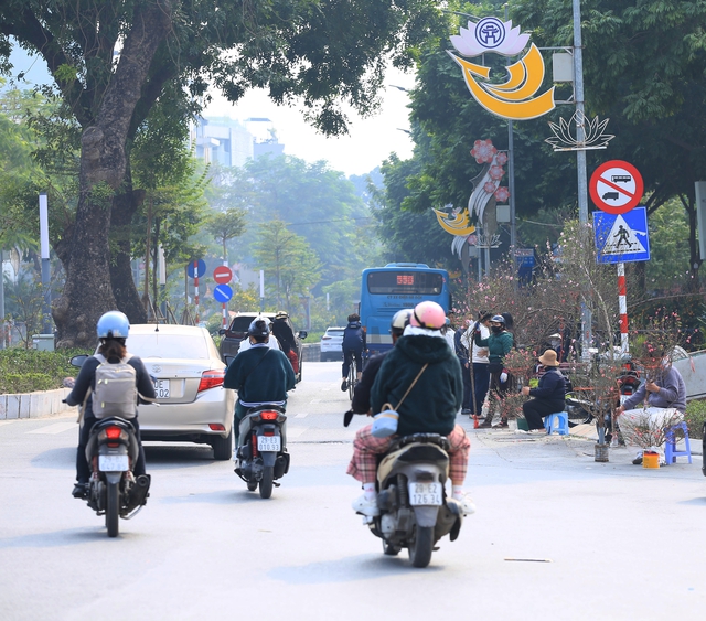 Những chậu quất dát vàng xuất hiện trên đường phố Hà Nội, giá thế nào?- Ảnh 1.