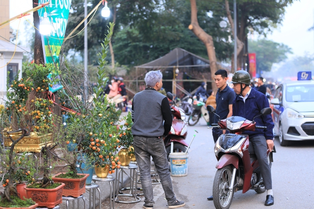 Những chậu quất dát vàng xuất hiện trên đường phố Hà Nội, giá thế nào?- Ảnh 2.