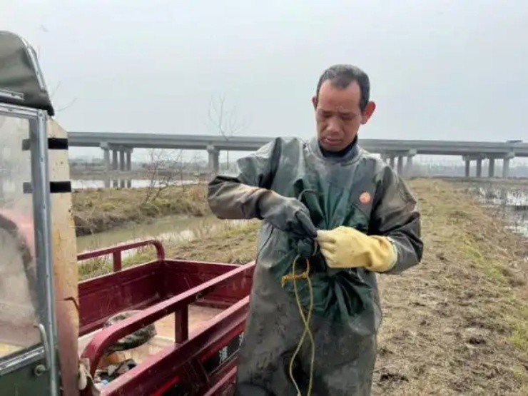 Lội bùn đào thứ ở Việt Nam có đầy, nhẹ nhàng đút túi tiền triệu/ngày- Ảnh 4.