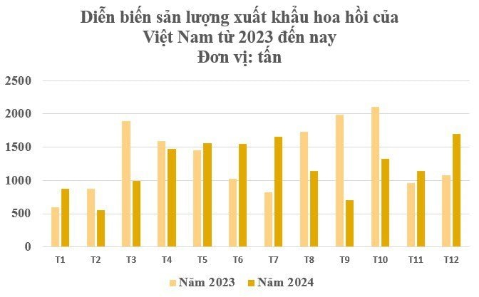 Chốt năm 2024: Hoa nghìn tỷ giúp Việt Nam thu 63 triệu USD, trở thành ông trùm top 2 thế giới- Ảnh 2.