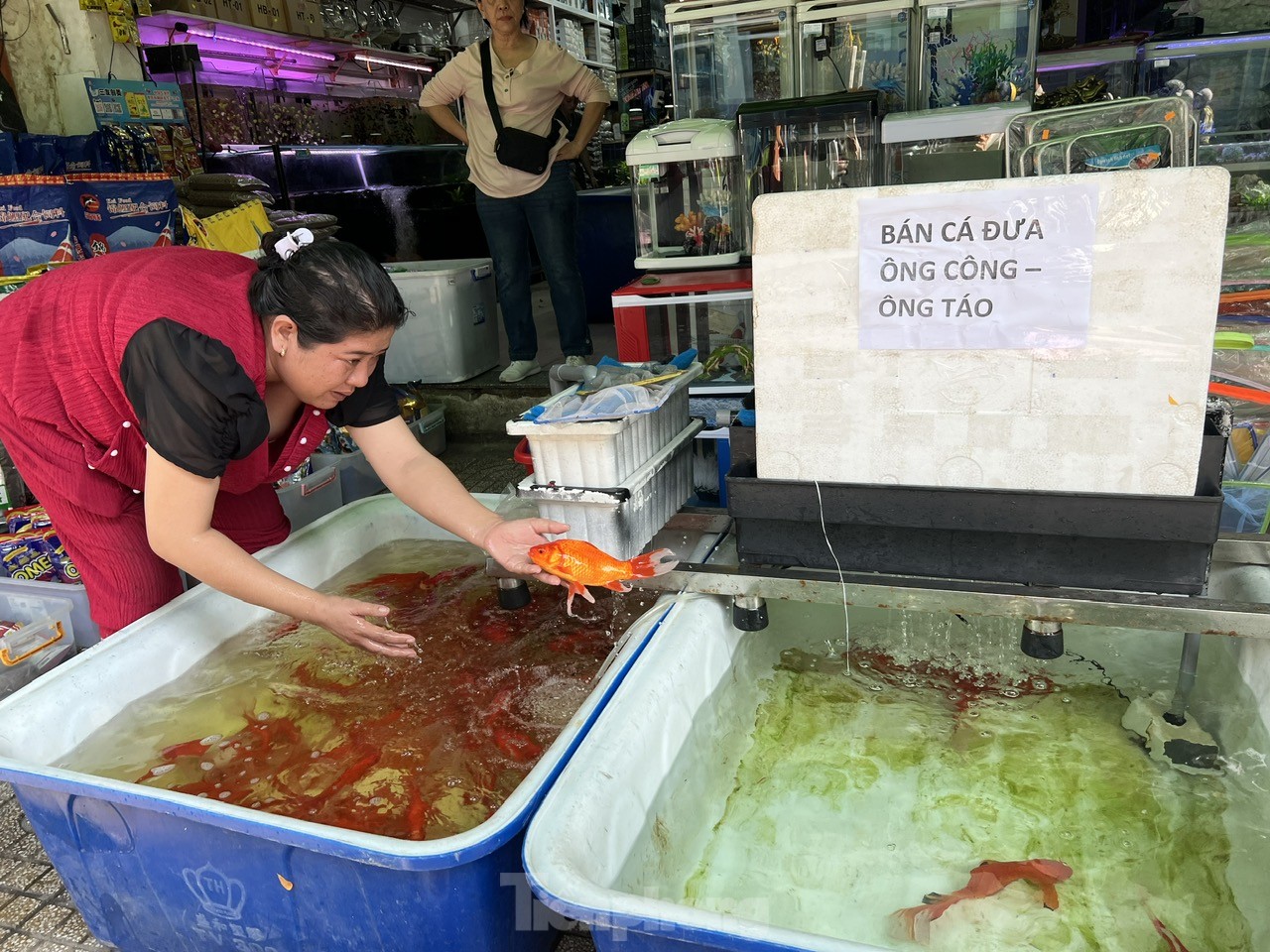 'Phương tiện' đưa ông Táo về trời đắt khách, mua không cần trả giá- Ảnh 7.