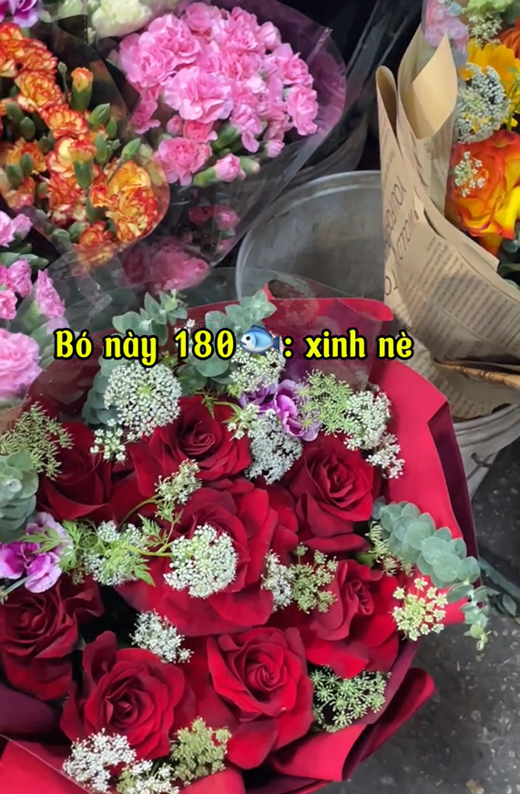 Dạo một vòng 