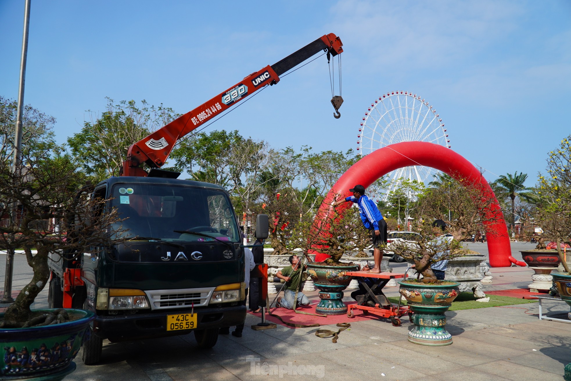 Mai 'im re' không nở, gió lạnh đang về khiến nhà vườn đứng ngồi không yên- Ảnh 12.