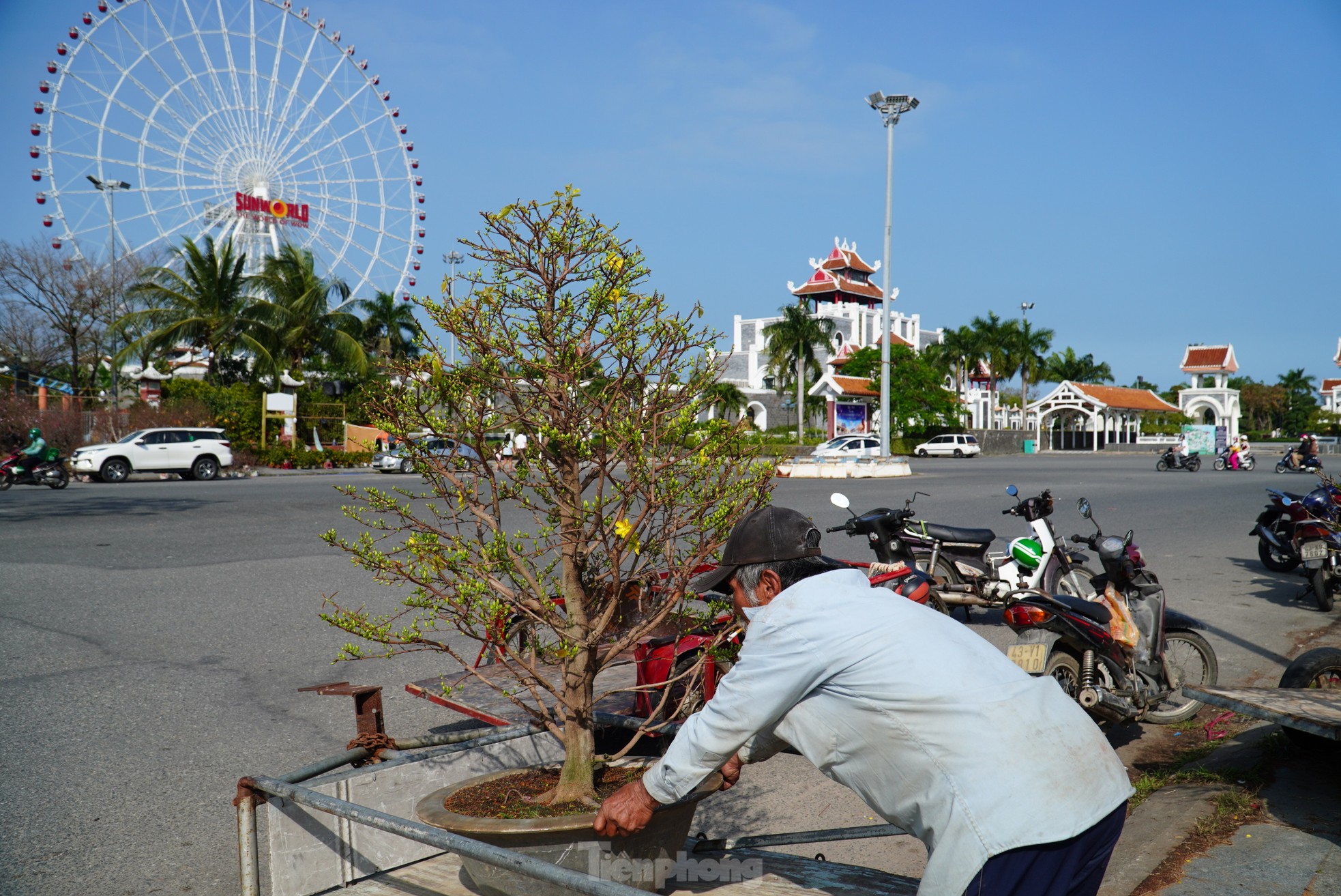 Mai 'im re' không nở, gió lạnh đang về khiến nhà vườn đứng ngồi không yên- Ảnh 14.