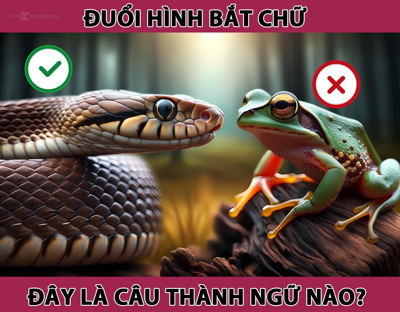 Nhìn con rắn và con nhái, đoán câu thành ngữ: Trả lời được, bạn xứng đáng 10 điểm thông thái- Ảnh 1.