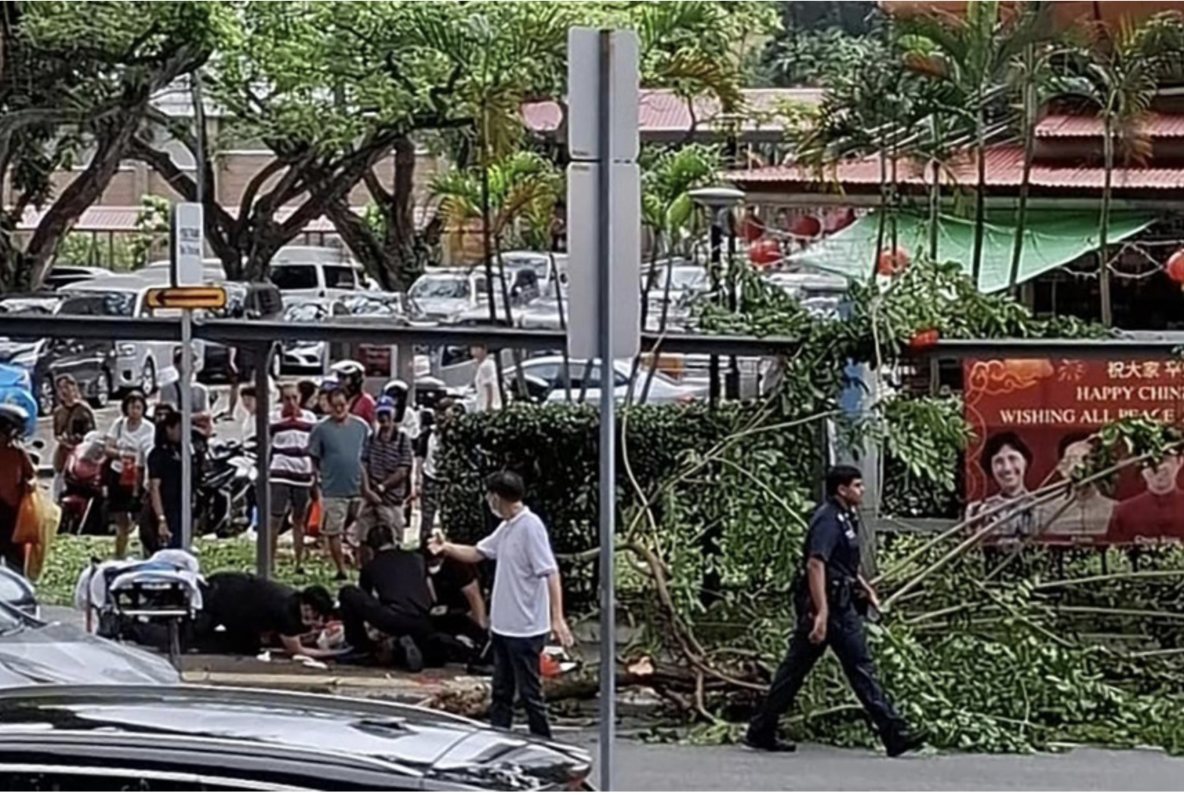 Cành cây lớn rơi trúng khiến người phụ nữ nhập viện, bên cạnh hiện trường vẫn là đồ trang trí Tết- Ảnh 1.