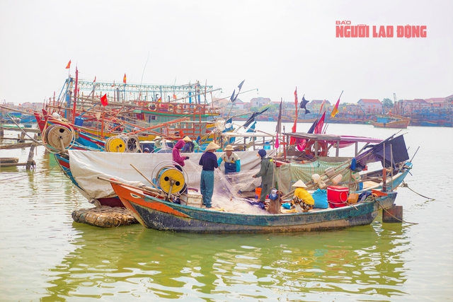 Ra biển 1 đêm kiếm cả trăm triệu đồng, ngư dân "hốt bạc" ngay trước Tết- Ảnh 1.