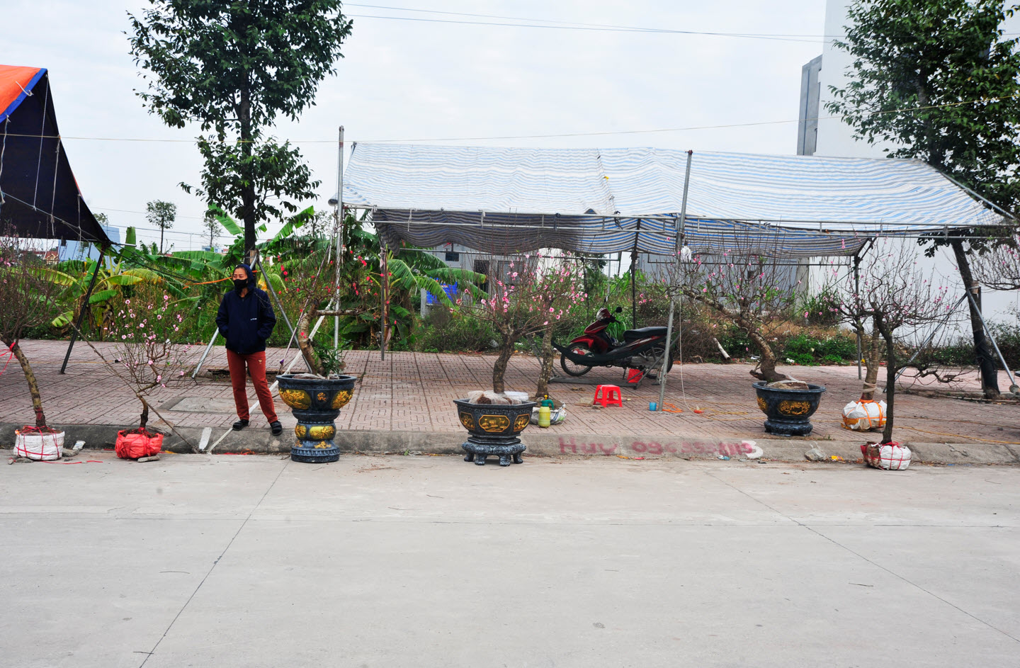 Đìu hiu phiên chợ Xuân Ất Tỵ ở làng quê Ninh Bình và nỗi lo người bán hàng: "Nếu trong hôm nay không bán được, coi như lỗ vốn"- Ảnh 5.