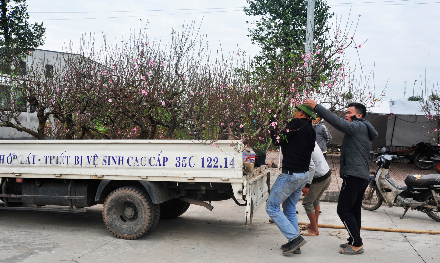 Đìu hiu phiên chợ Xuân Ất Tỵ ở làng quê Ninh Bình và nỗi lo người bán hàng: "Nếu trong hôm nay không bán được, coi như lỗ vốn"- Ảnh 8.