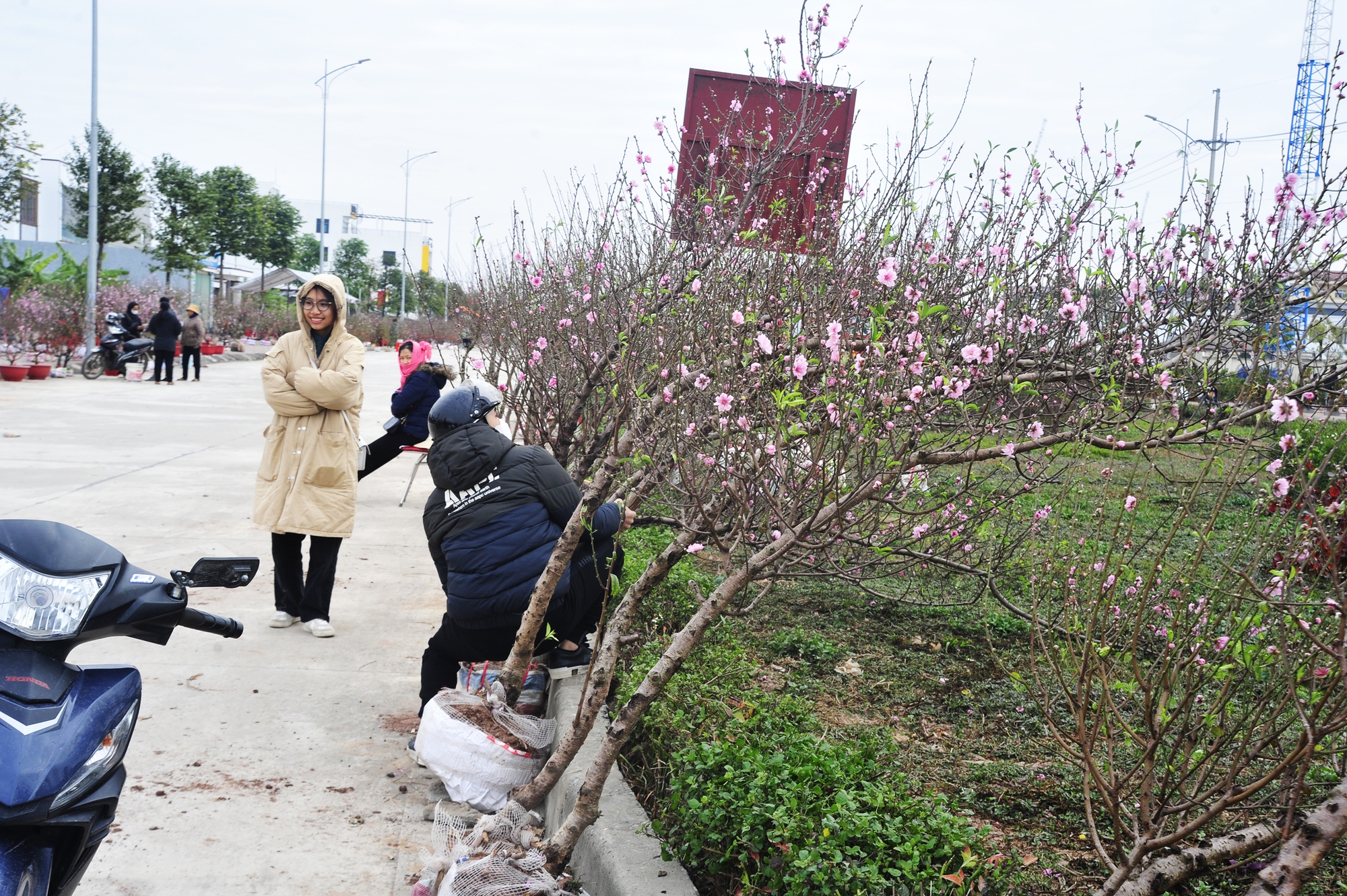 Đìu hiu phiên chợ Xuân Ất Tỵ ở làng quê Ninh Bình và nỗi lo người bán hàng: "Nếu trong hôm nay không bán được, coi như lỗ vốn"- Ảnh 3.