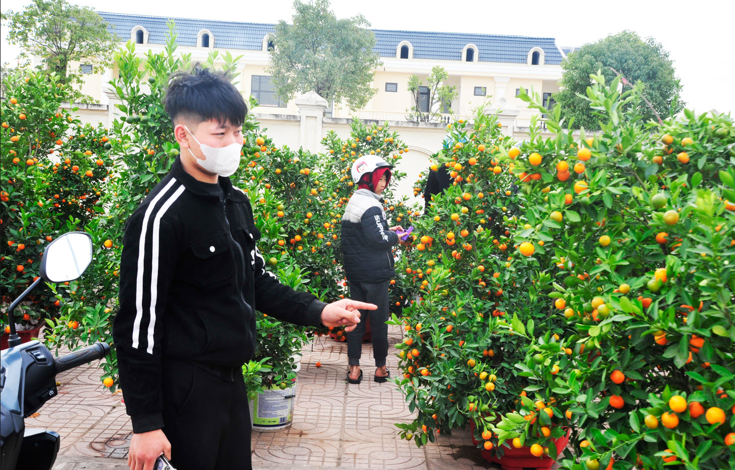 Đìu hiu phiên chợ Xuân Ất Tỵ ở làng quê Ninh Bình và nỗi lo người bán hàng: "Nếu trong hôm nay không bán được, coi như lỗ vốn"- Ảnh 4.