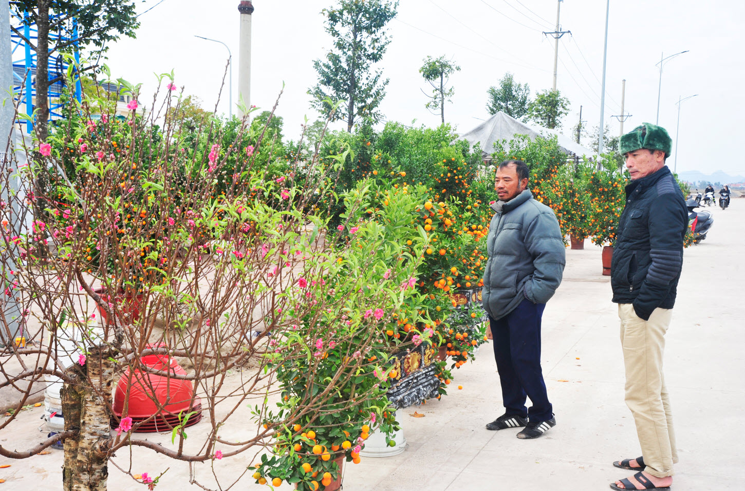 Đìu hiu phiên chợ Xuân Ất Tỵ ở làng quê Ninh Bình và nỗi lo người bán hàng: "Nếu trong hôm nay không bán được, coi như lỗ vốn"- Ảnh 1.