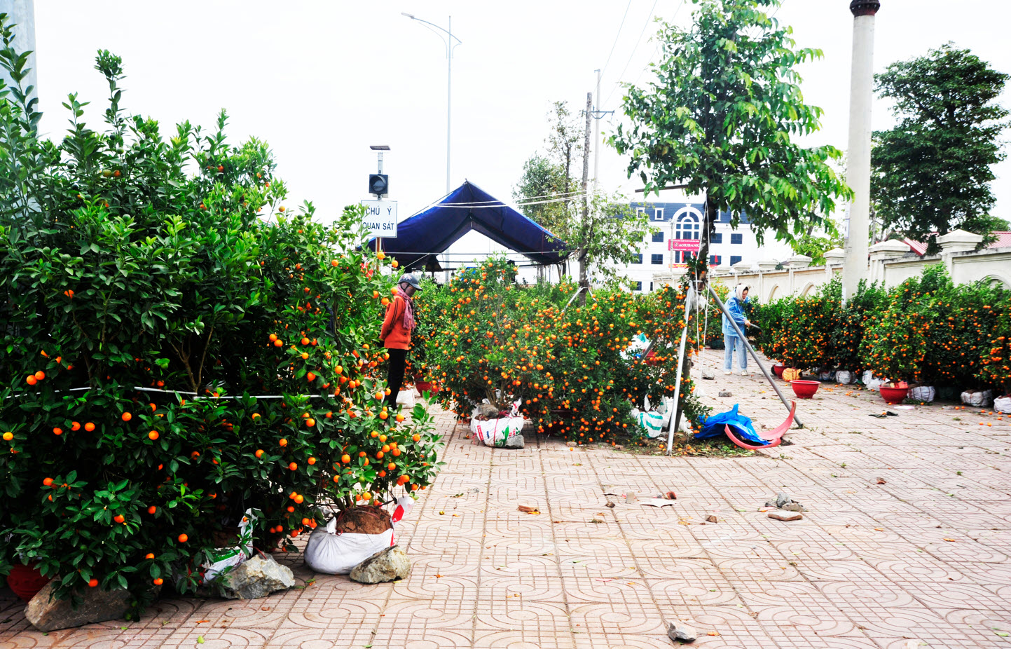 Đìu hiu phiên chợ Xuân Ất Tỵ ở làng quê Ninh Bình và nỗi lo người bán hàng: "Nếu trong hôm nay không bán được, coi như lỗ vốn"- Ảnh 2.