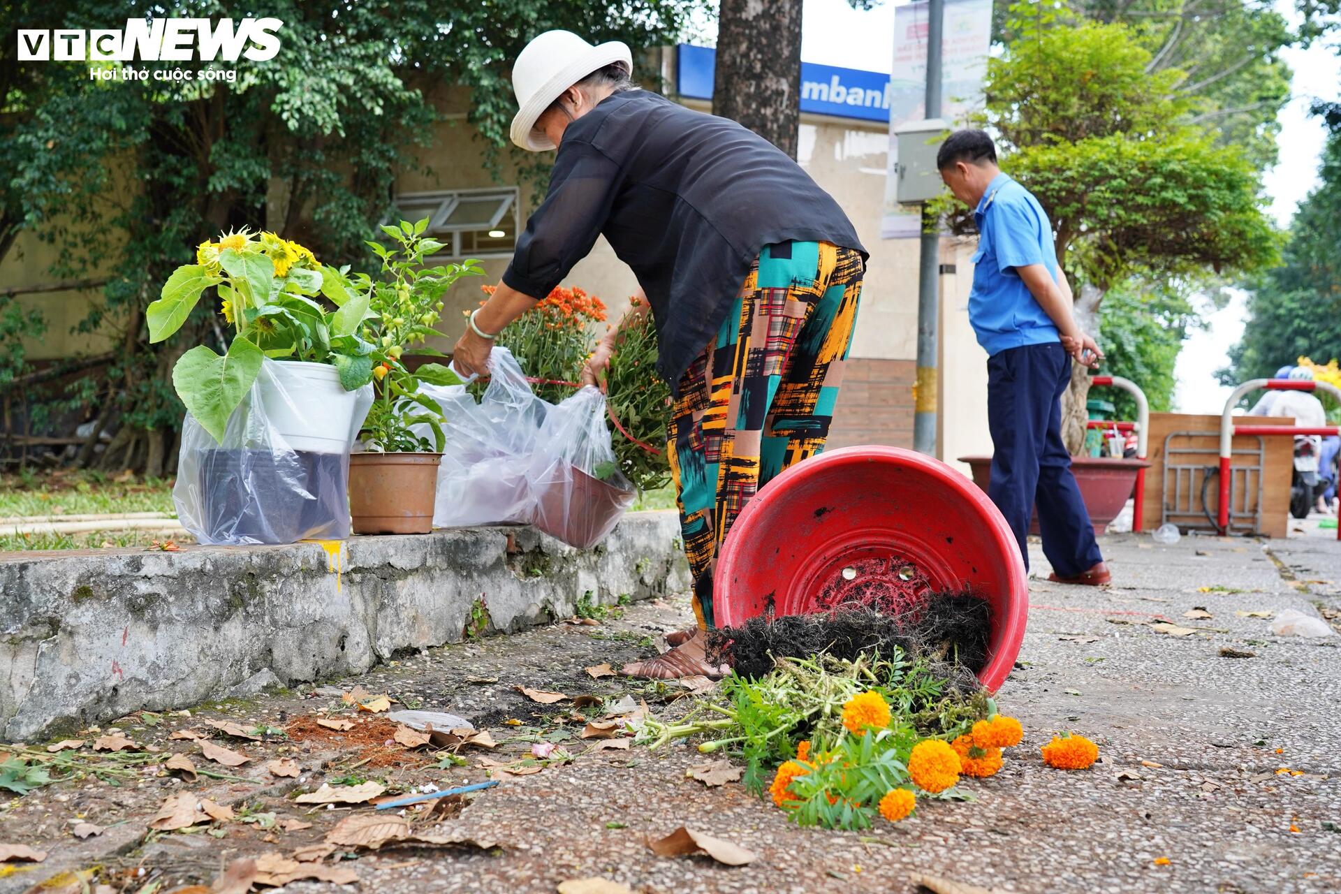 TP.HCM: Xả lỗ không ai mua, tiểu thương bỏ hoa, vứt chậu về quê đón giao thừa- Ảnh 3.