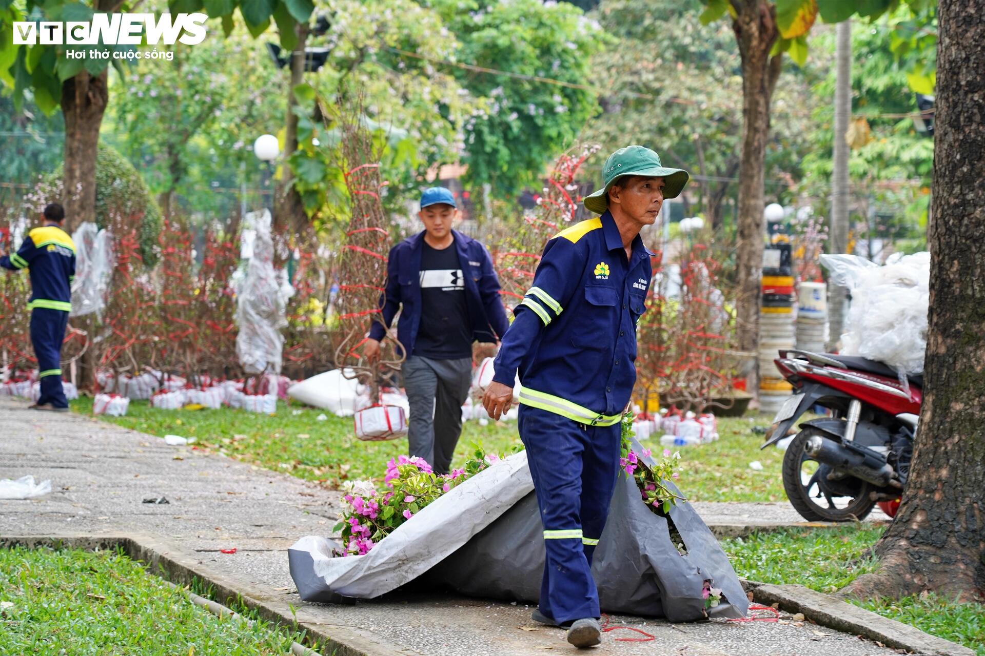 TP.HCM: Xả lỗ không ai mua, tiểu thương bỏ hoa, vứt chậu về quê đón giao thừa- Ảnh 2.