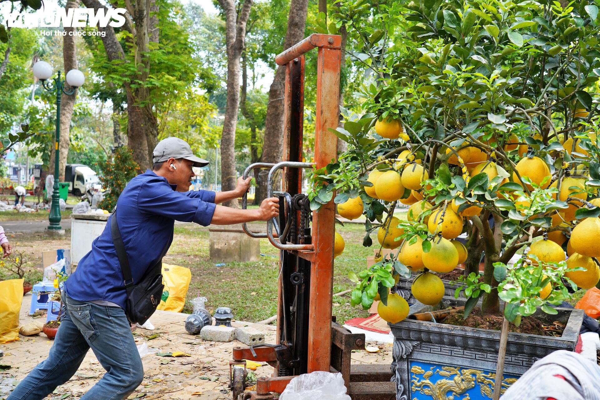 TP.HCM: Xả lỗ không ai mua, tiểu thương bỏ hoa, vứt chậu về quê đón giao thừa- Ảnh 14.