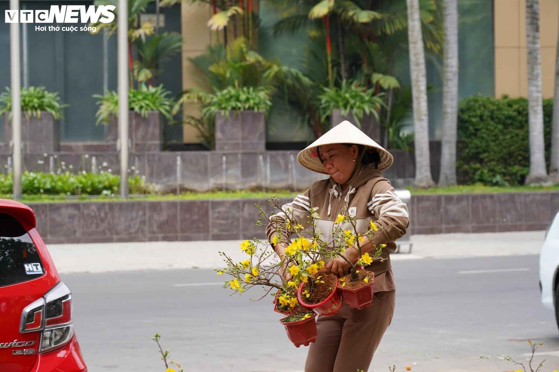 TP.HCM: Xả lỗ không ai mua, tiểu thương bỏ hoa, vứt chậu về quê đón giao thừa- Ảnh 13.