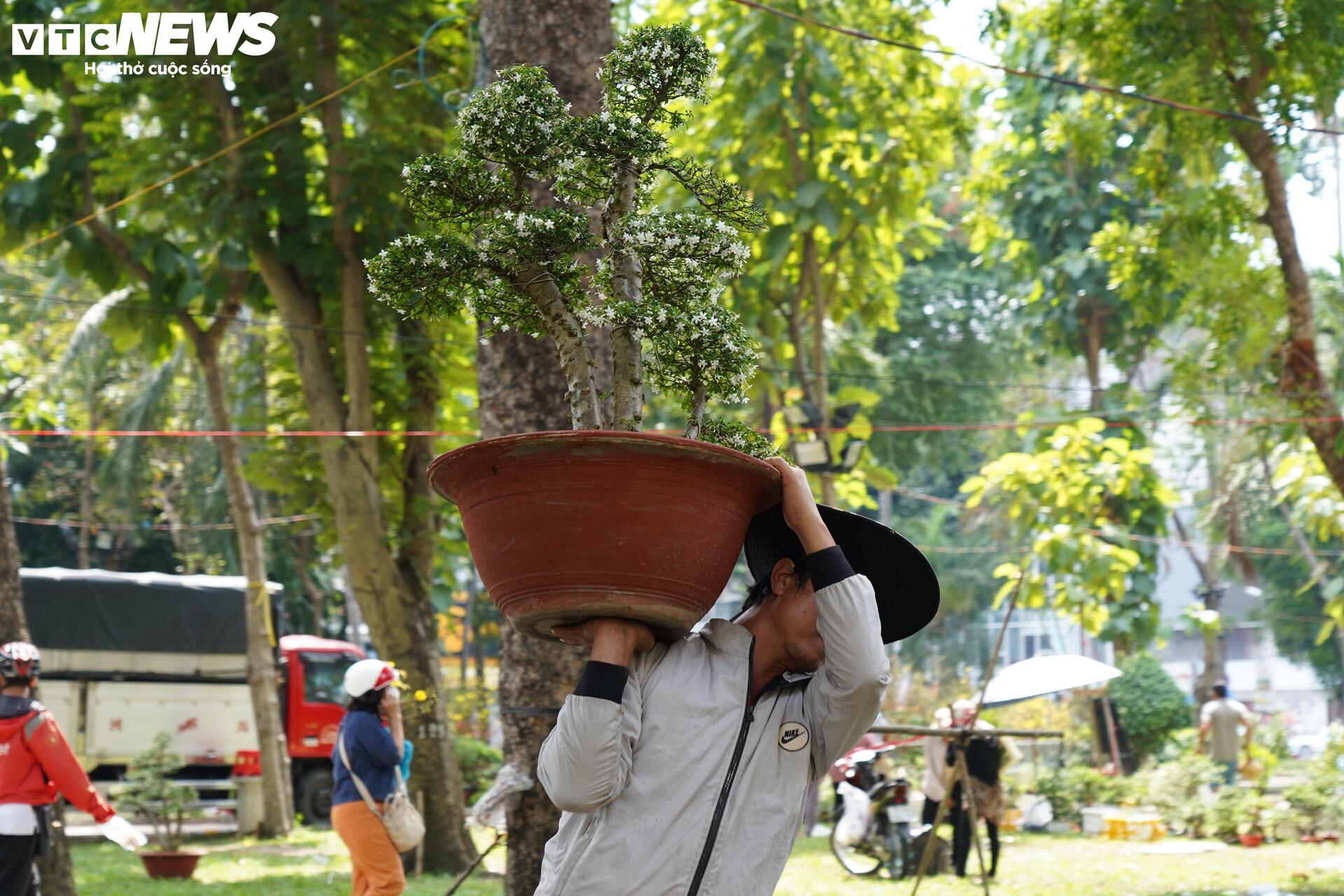 TP.HCM: Xả lỗ không ai mua, tiểu thương bỏ hoa, vứt chậu về quê đón giao thừa- Ảnh 12.