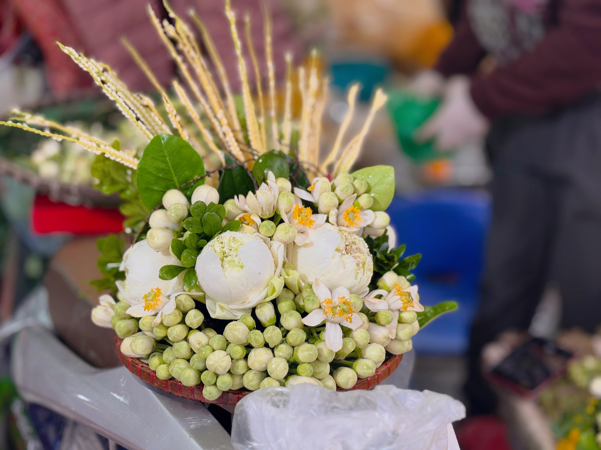 Chợ Hàng Bè ngày 29 Tết: Gà cánh tiên ngậm hoa hồng 1,1 triệu đồng/con, cá kho TĂNG GẤP ĐÔI- Ảnh 15.