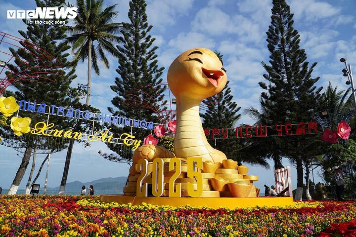 Người nước ngo&agrave;i th&iacute;ch th&uacute; tạo d&aacute;ng với 'b&eacute; Na' dễ thương ở Nha Trang- Ảnh 5.