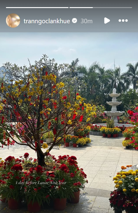 Hội dâu hào môn làm gì ngày Tết: Tăng Thanh Hà xông xáo nội trợ, tất bật lo việc nhà cửa, Mai Ngọc thì hoàn toàn ngược lại- Ảnh 15.