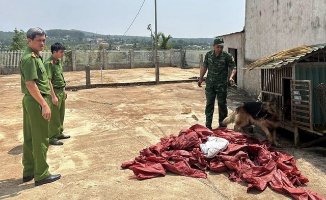 Bí mật kinh hoàng trong đống cà phê khô của vợ chồng "ông trùm" Trịnh Minh Sản- Ảnh 1.