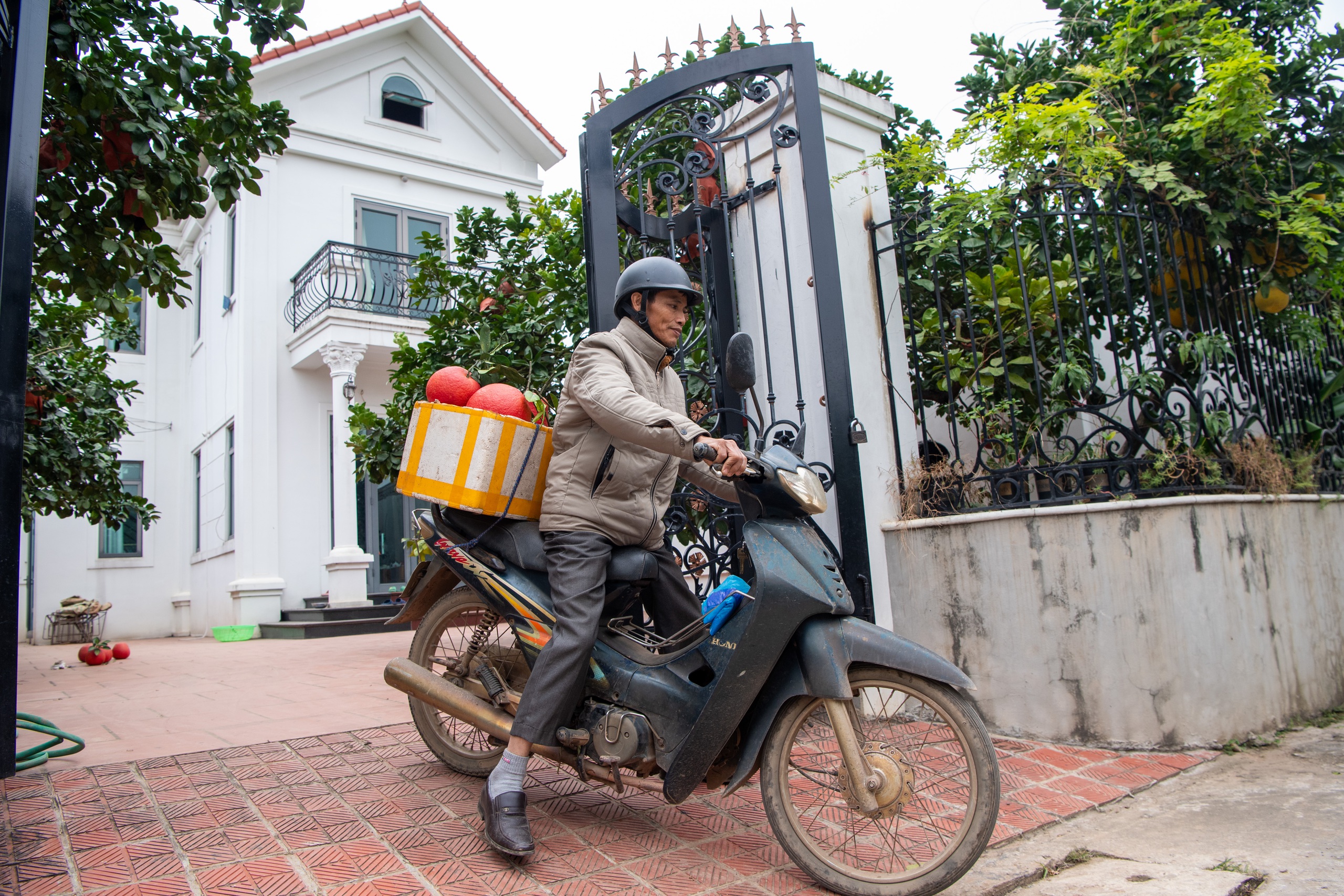 Một loại quả bị đồn "sơn màu đỏ" để được săn đón dịp Tết, sự thật là gì?- Ảnh 5.