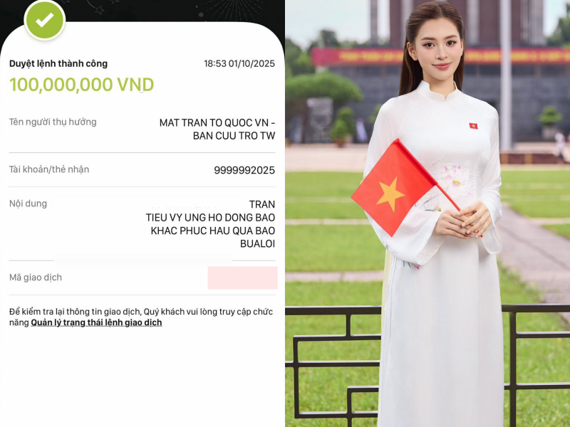Trường Giang, Mỹ Tâm, vợ chồng Trấn Thành và dàn sao chung tay quyên góp khắc phục hậu quả bão lũ- Ảnh 11.