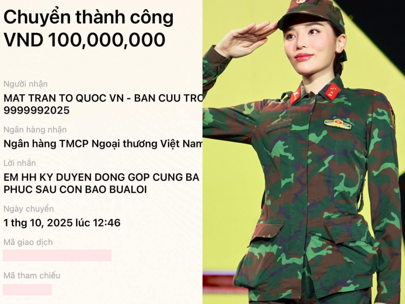 Trường Giang, Mỹ Tâm, vợ chồng Trấn Thành và dàn sao chung tay quyên góp khắc phục hậu quả bão lũ- Ảnh 6.