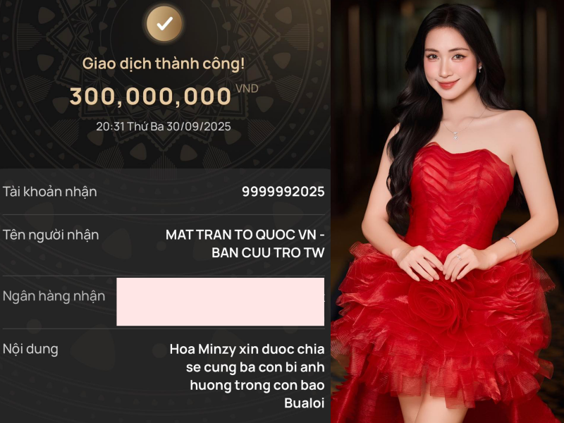 Trường Giang, Mỹ Tâm, vợ chồng Trấn Thành và dàn sao chung tay quyên góp khắc phục hậu quả bão lũ- Ảnh 4.