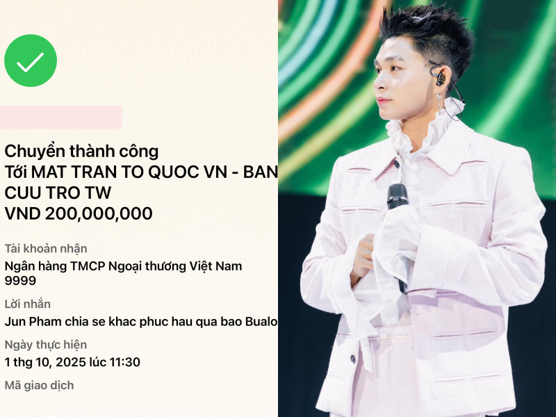 Trường Giang, Mỹ Tâm, vợ chồng Trấn Thành và dàn sao chung tay quyên góp khắc phục hậu quả bão lũ- Ảnh 7.