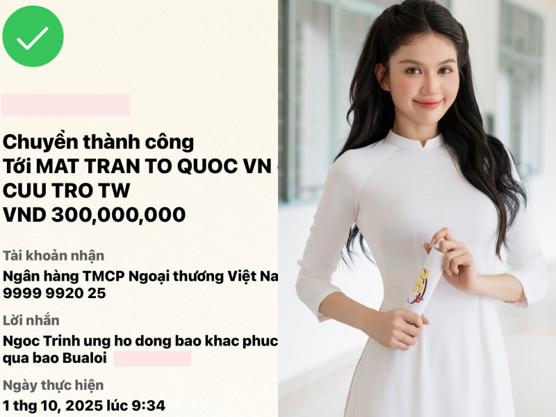 Trường Giang, Mỹ Tâm, vợ chồng Trấn Thành và dàn sao chung tay quyên góp khắc phục hậu quả bão lũ- Ảnh 8.