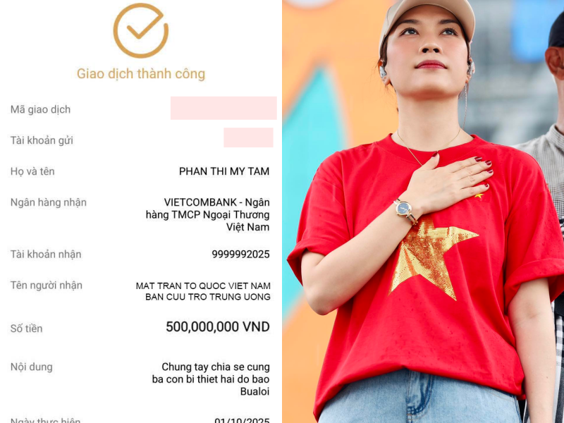 Trường Giang, Mỹ Tâm, vợ chồng Trấn Thành và dàn sao chung tay quyên góp khắc phục hậu quả bão lũ- Ảnh 3.