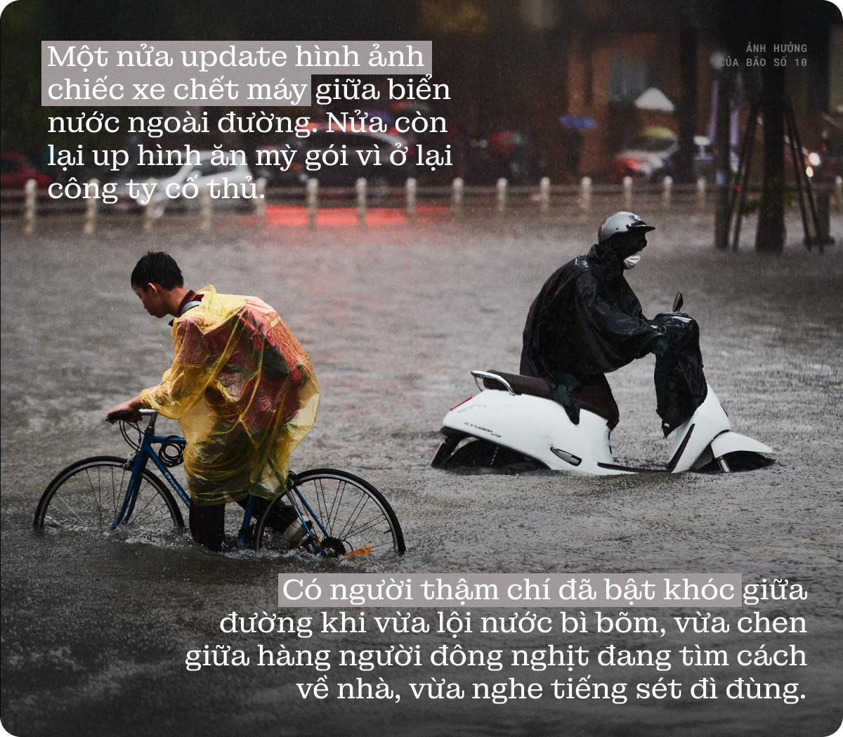 Khi ta còn được về nhà- Ảnh 1.