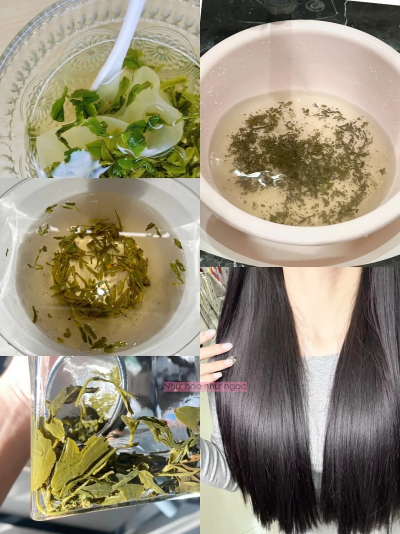 Thay vì hấp phục hồi ở tiệm, tôi ngâm tóc bằng trà xanh và không nghĩ mái tóc "khởi sắc" nhanh đến như vậy!- Ảnh 1.