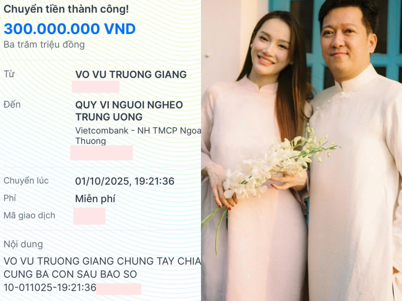 Trường Giang, Mỹ Tâm, vợ chồng Trấn Thành và dàn sao chung tay quyên góp khắc phục hậu quả bão lũ- Ảnh 1.