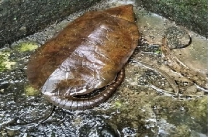 photo-1759298946696
