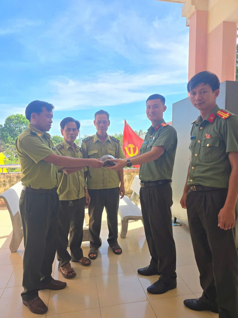 Đi hái rau, người phụ nữ bắt gặp con rùa quý nặng 2,2 kg ở Đà Nẵng- Ảnh 2.
