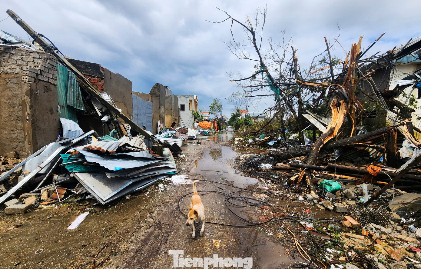 Sau khi nhà cửa bị lốc xoáy tàn phá, người dân gạt nước mắt gom đồ hư hỏng để bán sắt vụn- Ảnh 8.