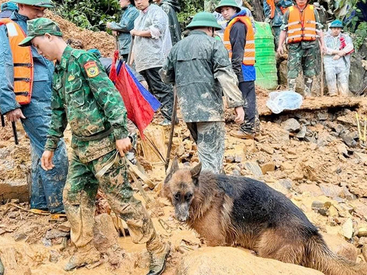 Huy động hơn 200 người và chó nghiệp vụ tìm 4 nạn nhân sạt lở ở Tuyên Quang- Ảnh 2.