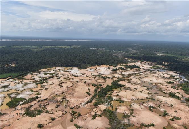 “Cơn sốt vàng” tàn phá 140.000 ha rừng Amazon- Ảnh 1.